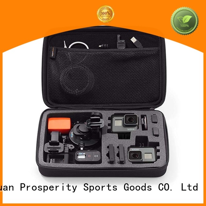 Prosperity EVA case disk carrying case for switch