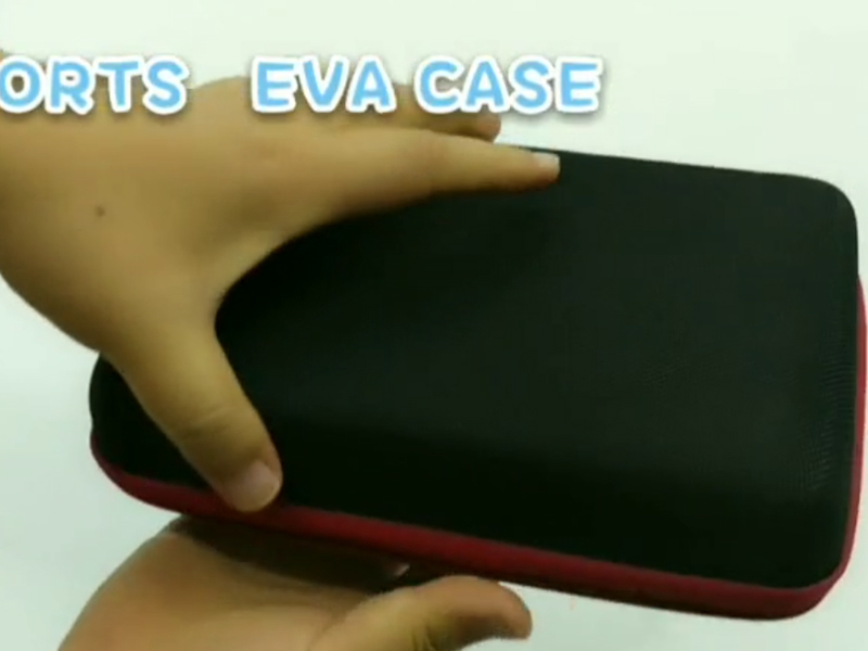 Small EVA Case